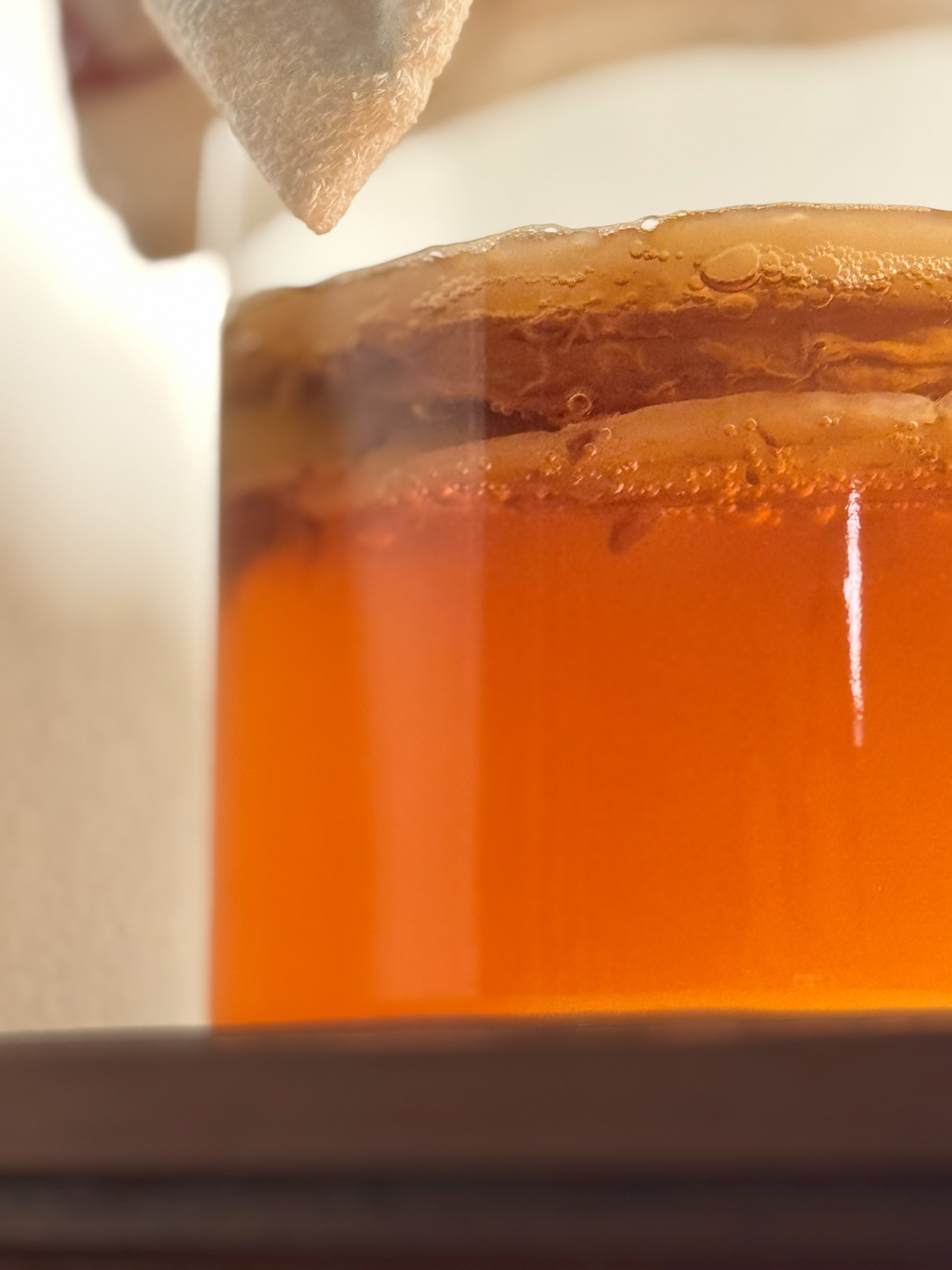 Kombucha info page